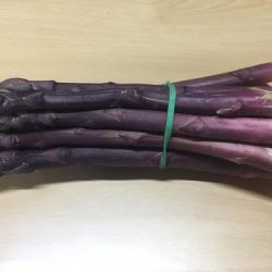 Espárragos trigueros