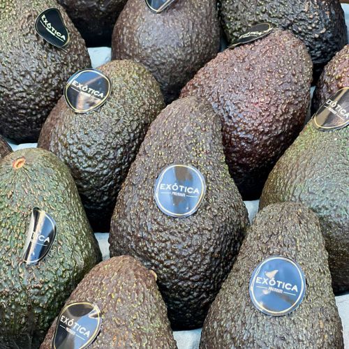 Aguacates