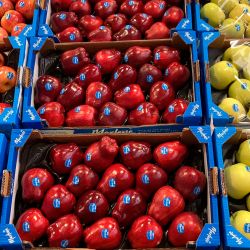 Cajas de manzanas rojas y golden