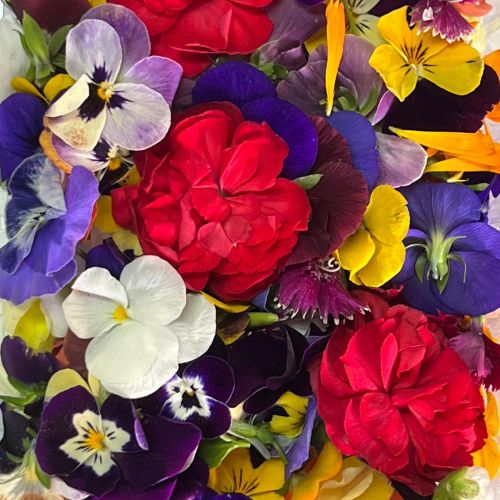 Mezclum de flores