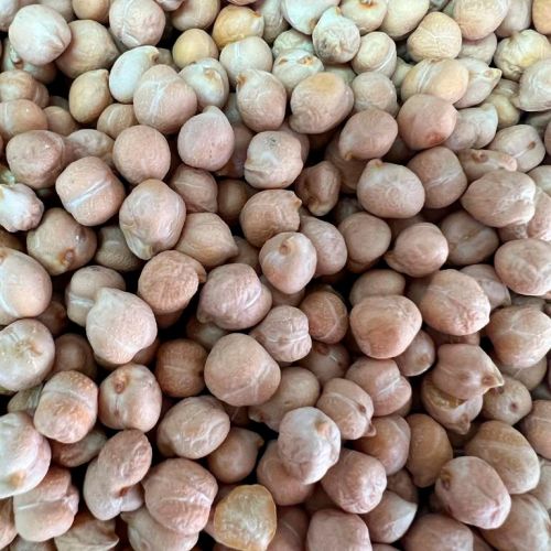 Garbanzos