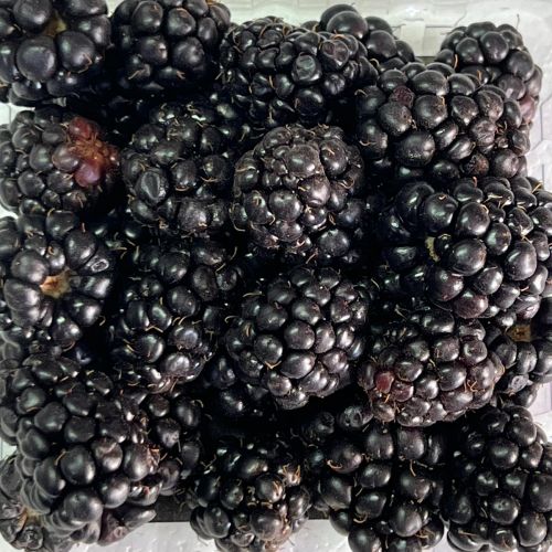 Caja con moras