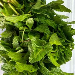 Hojas de hierba buena