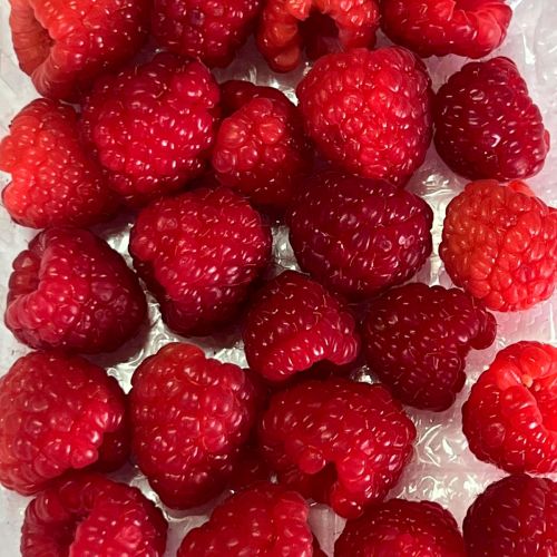 Fresas silvestres